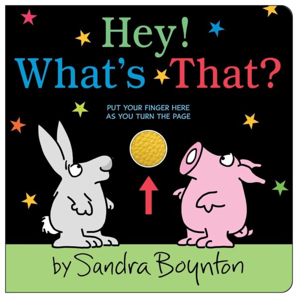 HEY! WHAT'S THAT? BOARD BOOK