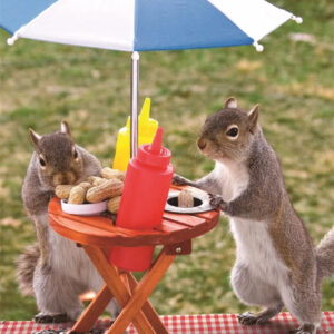 LUNCH TIME 60PC