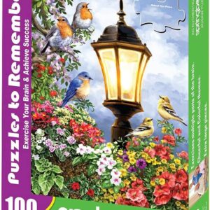 SONG OF SUMMER 100PC MINDFIT