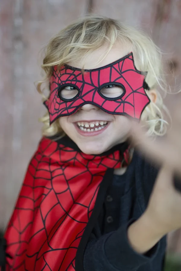 REVERSIBLE SPIDER/BAT CAPE & MASK-SIZE 3-4 - Image 3