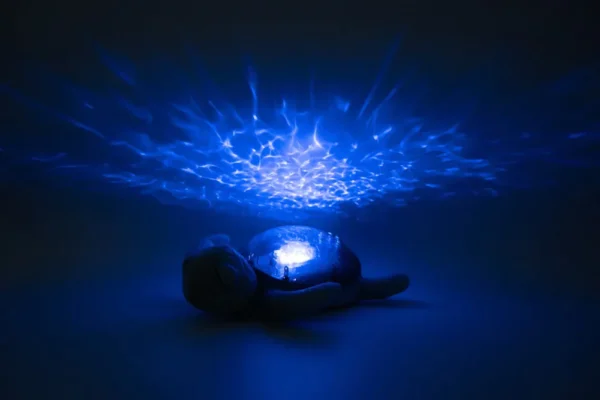 AQUA TRANQUIL TURTLE-RECHARGEABLE - Image 2