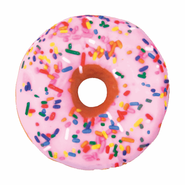 MINI DONUT VANILLA SCENTED PILLOW