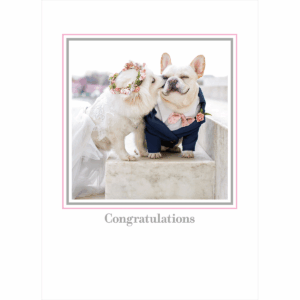 WEDDING DOGS (SEBASTIAN & LUNA) CARD