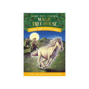 WINDY NIGHT W/WILD HORSES MAGIC TREE HOUSE-39