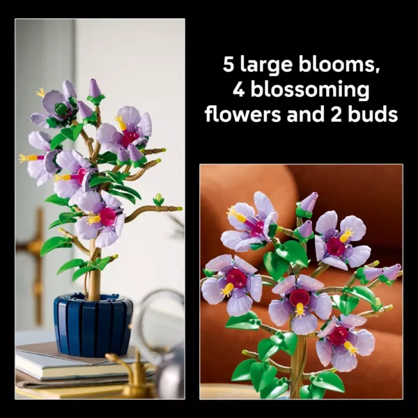 HIBISCUS-BOTANICALS - Image 5