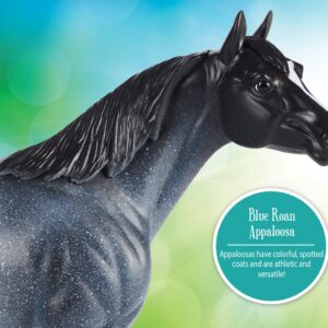 Alternative view of BLUE ROAN APPALOOSA