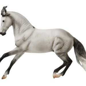 CRIOLLO JAGUEL HILTON