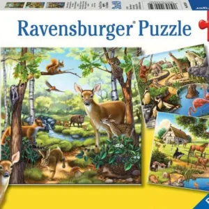 FOREST/ZOO/DOMESTIC ANIMALS 3X49PC